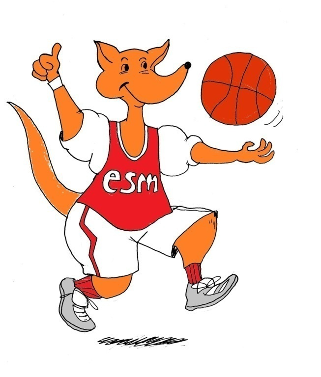 Entente Sportive Magnanvilloise Basket